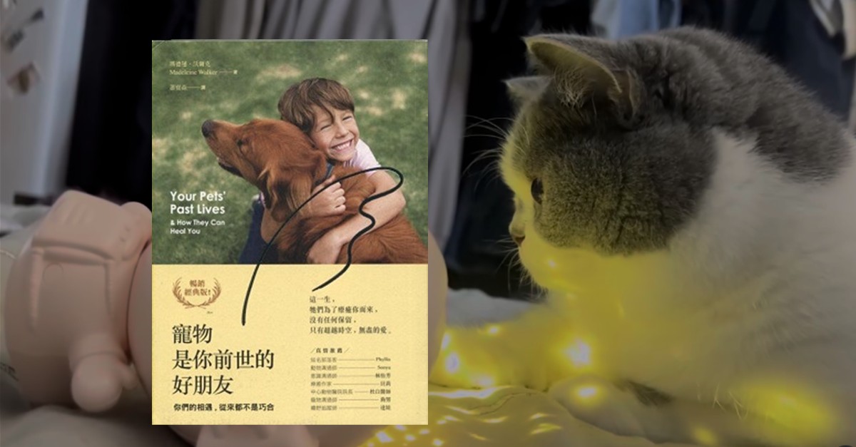《寵物是你前世的好朋友》書封展示，一位小男孩擁抱著棕色狗狗，背景為綠意草地，右側為一隻注視著書本的灰白貓咪，畫面溫馨療癒。