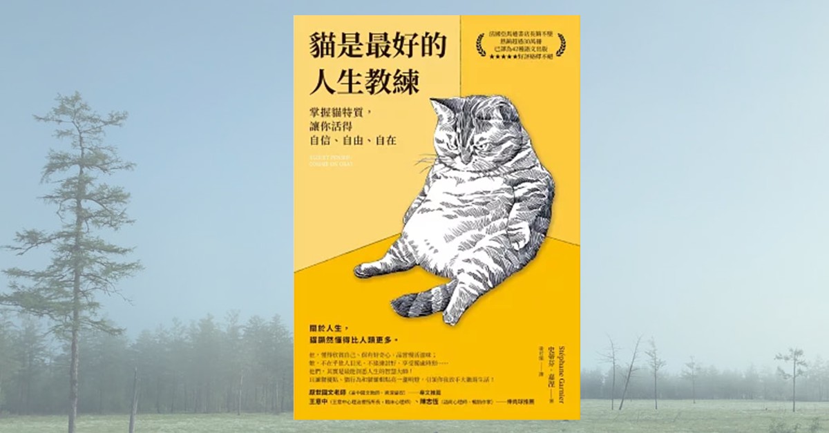 《貓是最好的人生教練》書封，黃色背景上繪有一隻坐姿放鬆的虎斑貓插畫，標題與副標以黑字呈現，傳達貓的自在與人生哲理。