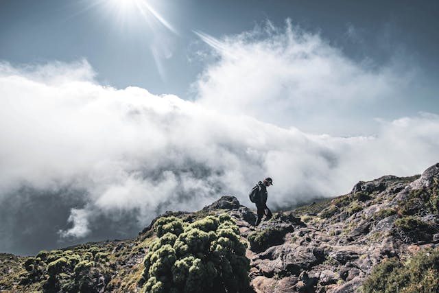 陽光下登山者行走於雲端山徑，象徵山岳之美與冒險風險共存