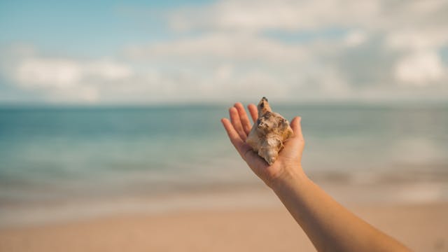 手中拿著滴水的貝殼，背景是蔚藍海面，象徵人生選擇與時間的流逝。