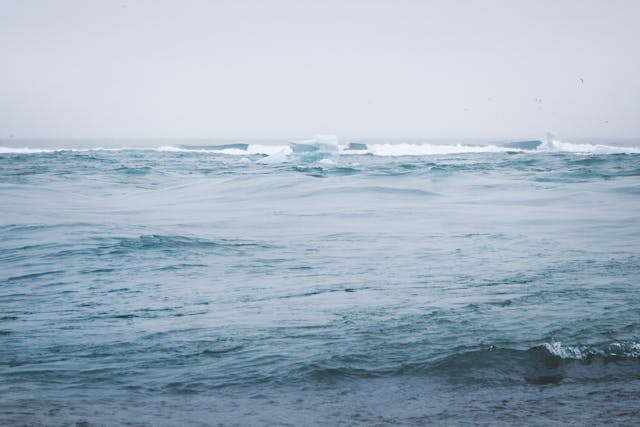 平靜的海浪與無垠大海，象徵人生起伏與心靈的寧靜，呼應《象與騎象人》書中關於正念與自我覺察的智慧