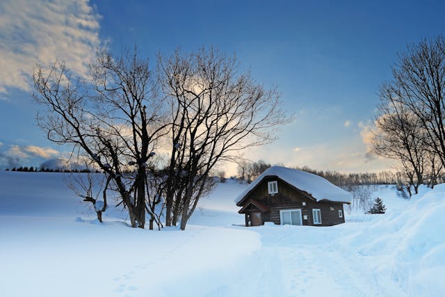 冬日雪地裡的木屋與光禿樹木景色