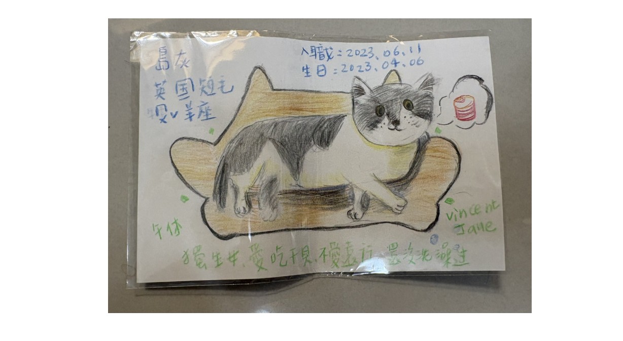 島灰的手繪色鉛筆插畫，一隻英國短毛貓趴在骨頭形狀的墊子上，旁邊寫著生日與入職日期，由 Jane 繪製。